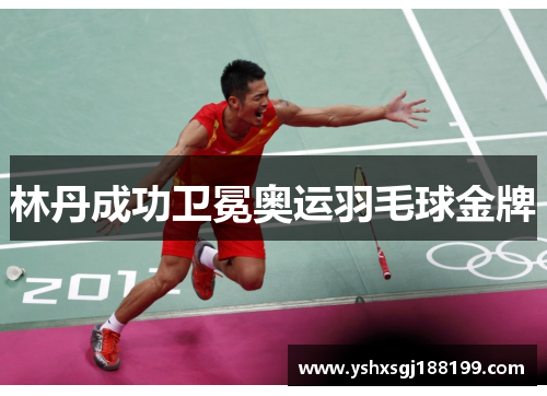 林丹成功卫冕奥运羽毛球金牌